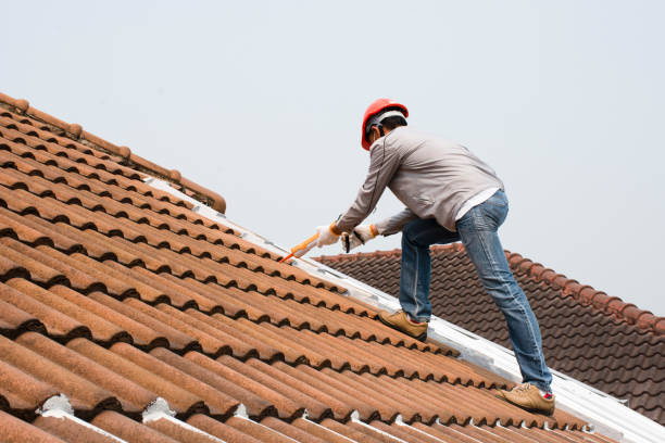 Best Roof Ventilation Installation  in Craig, AK