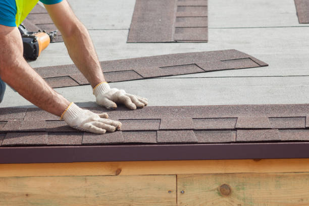 Best Green or Eco-Friendly Roofing Solutions  in Craig, AK