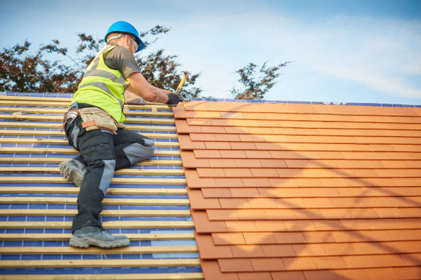 Best Skylight Installation and Repair  in Craig, AK